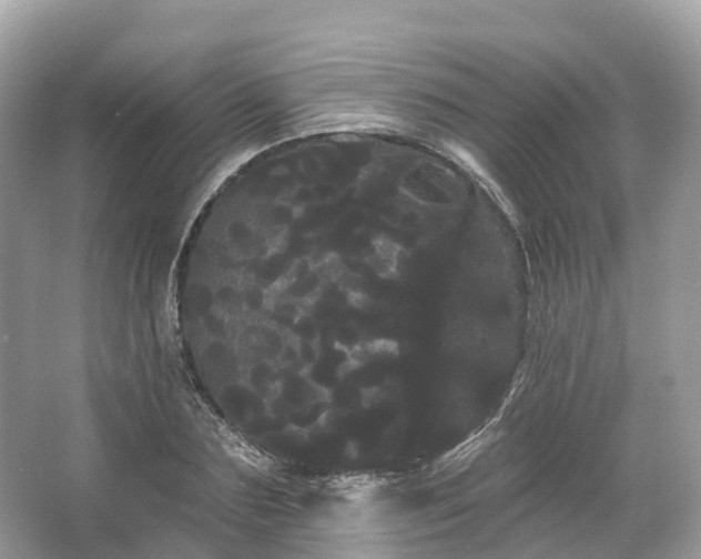 X0000066120883200603131325