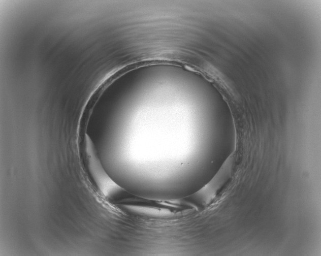 X0000066120884200603131325