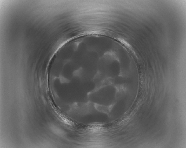 X0000066120886200603131325