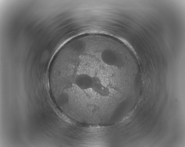 X0000066120887200603131325