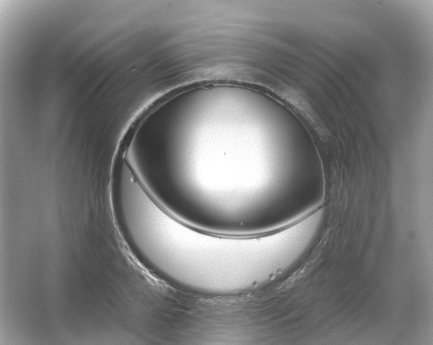 X0000066120888200603131325