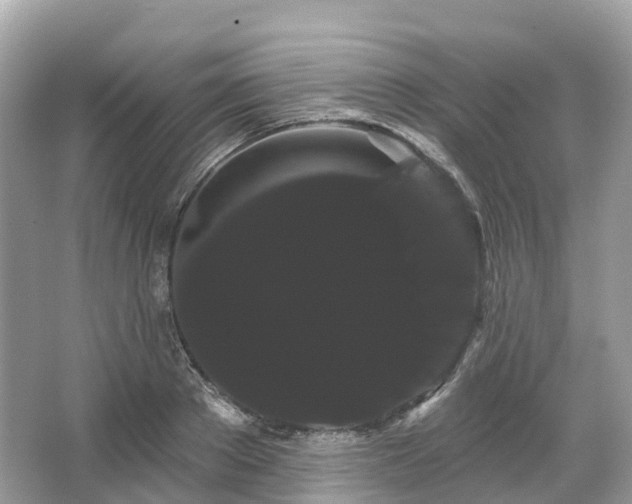 X0000066120889200603131325