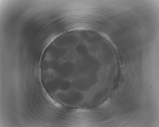 X0000066120890200603131325