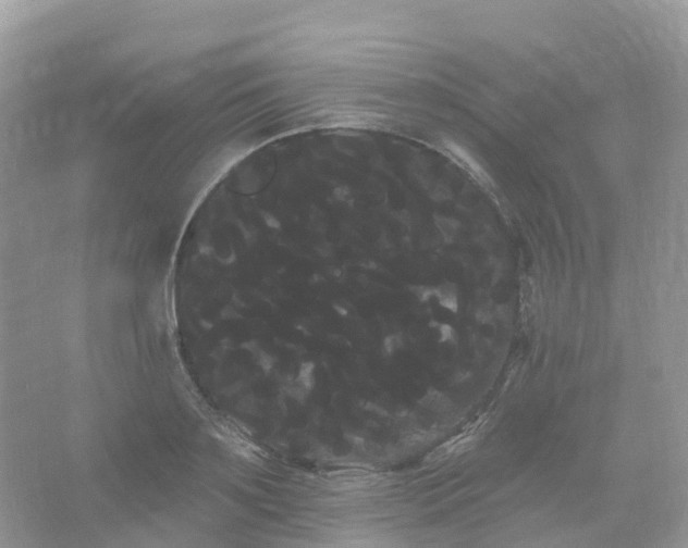 X0000066120891200603131325