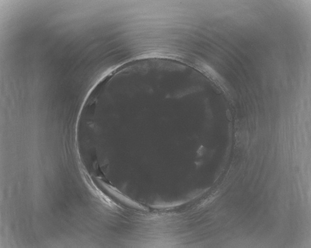 X0000066120892200603131325