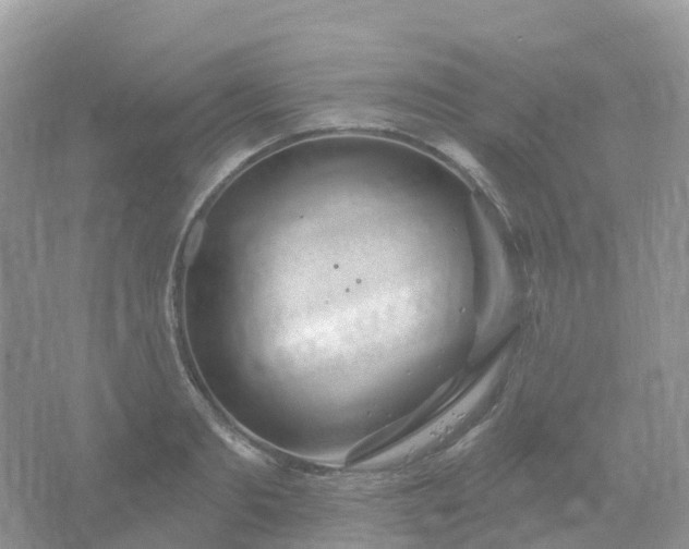 X0000066120893200603131325