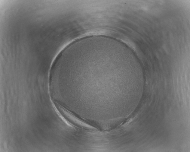 X0000066120894200603131325