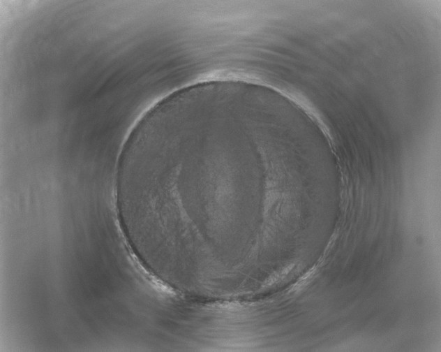 X0000066120896200603131325