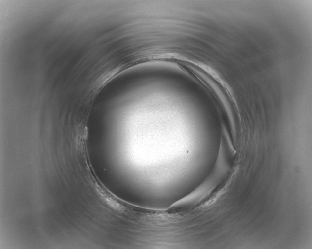 X0000066120897200603131325