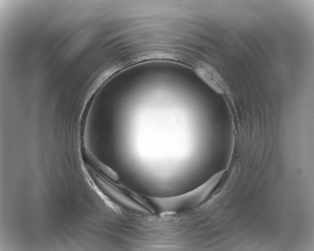 X0000066120898200603131325