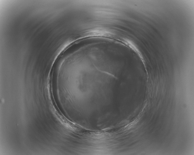 X0000066120899200603131325