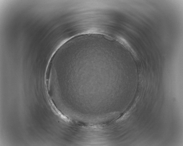 X0000066120900200603131325