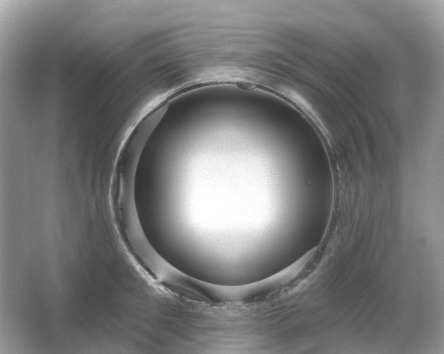 X0000066120901200603131325