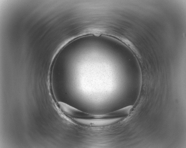 X0000066120904200603131325