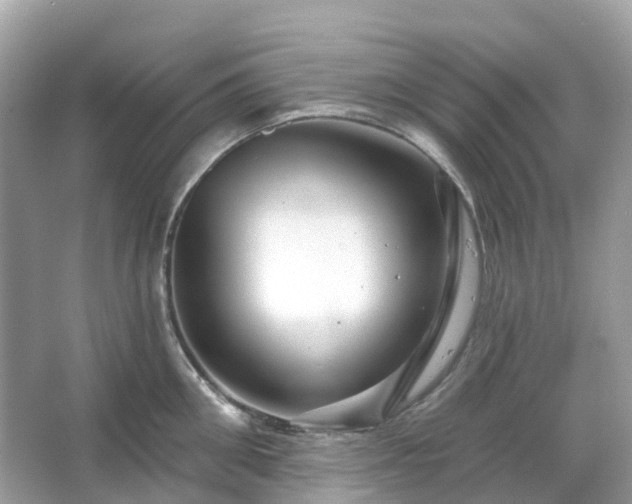 X0000066120906200603131325