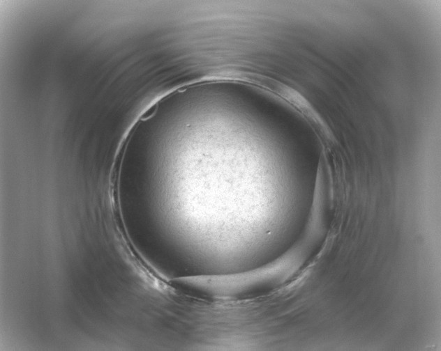 X0000066120908200603131325