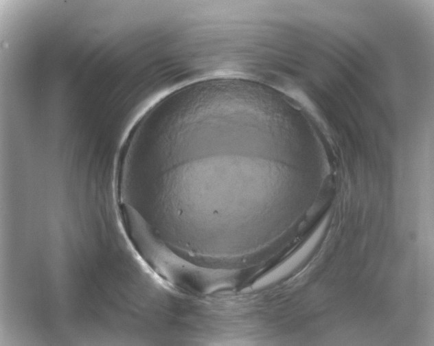 X0000066120910200603131325