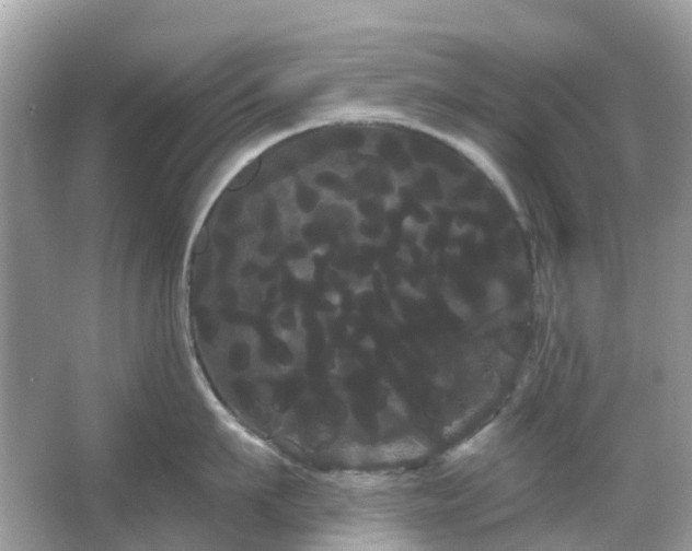 X0000066120911200603131325