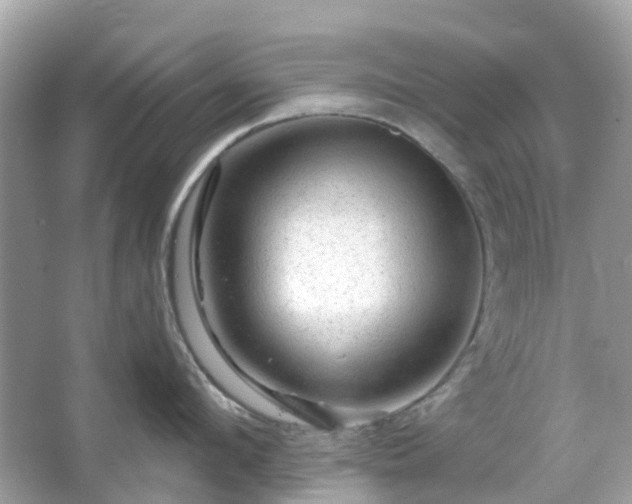 X0000066120912200603131325