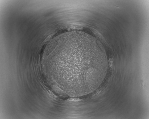 X0000066120915200603131324