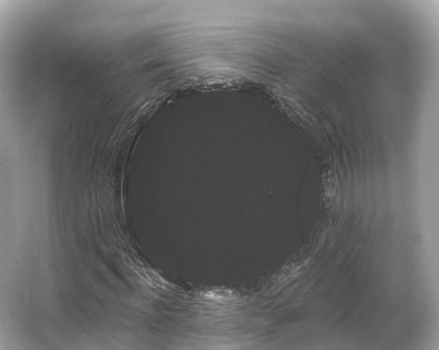 X0000066120916200603131324