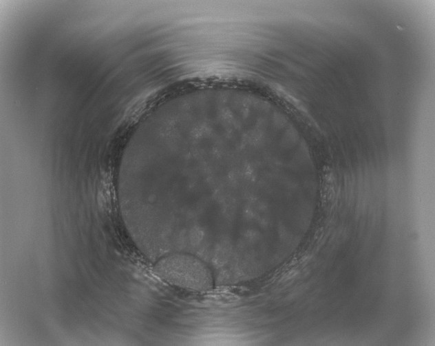 X0000066120918200603131324