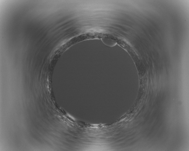 X0000066120919200603131324