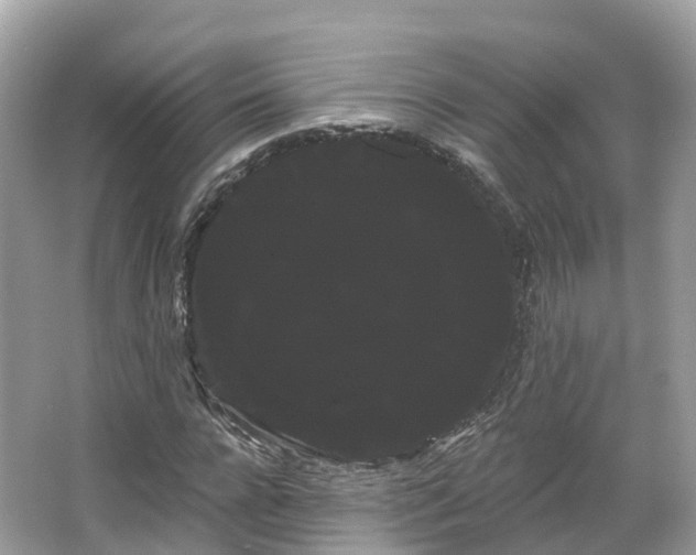 X0000066120920200603131324