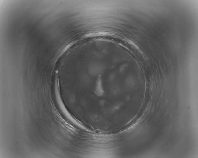 X0000066120921200603131324