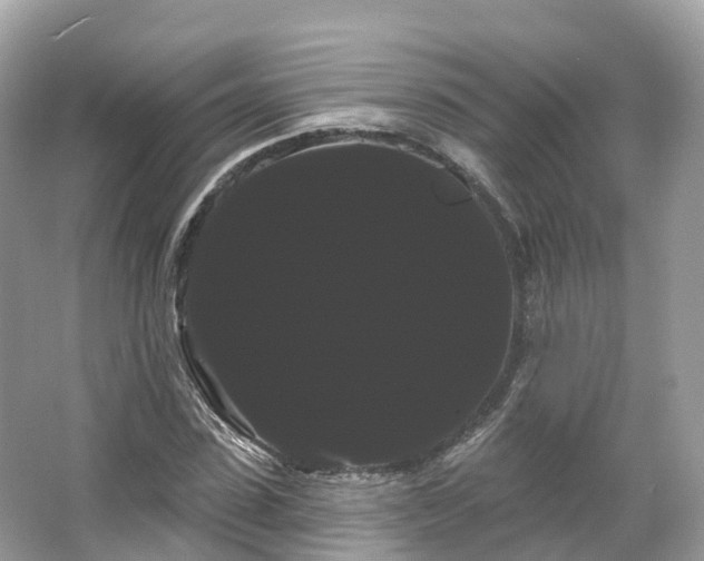 X0000066120923200603131324