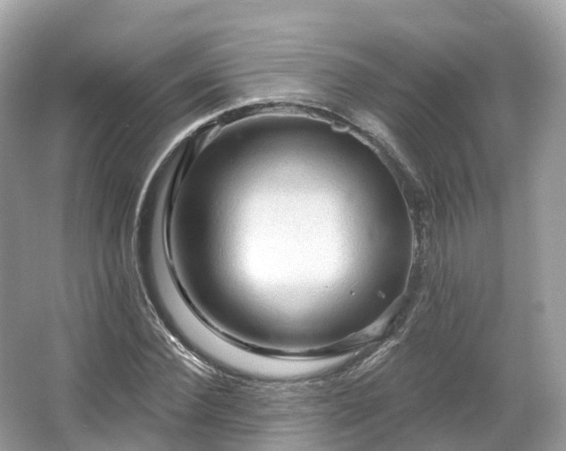 X0000066120924200603131324