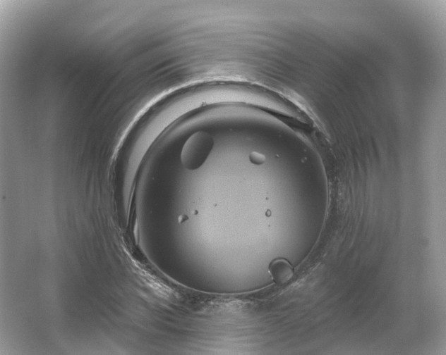 X0000066120926200603131324