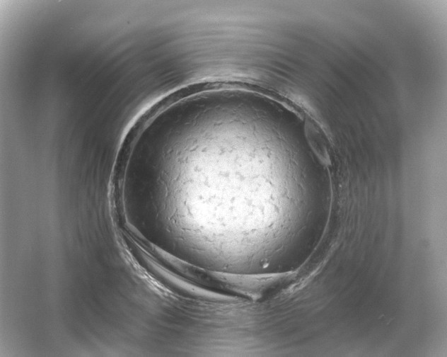 X0000066120928200603131324