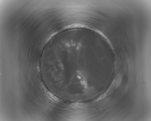 X0000066120929200603131324