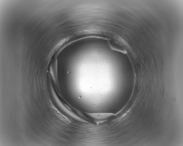 X0000066120930200603131324