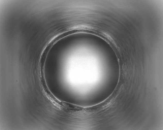 X0000066120931200603131324