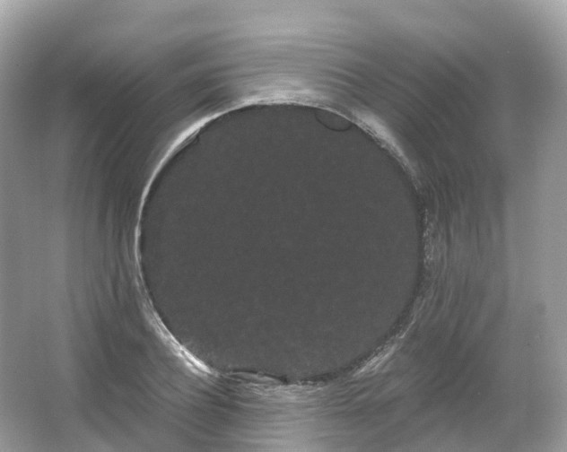 X0000066120932200603131324