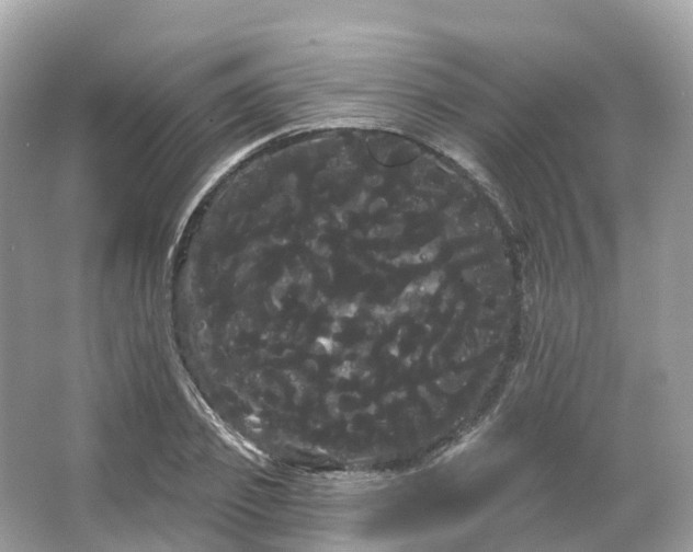 X0000066120933200603131324