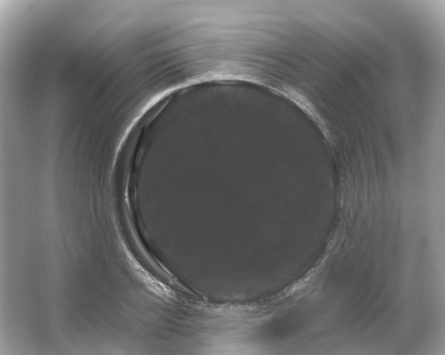 X0000066120934200603131324