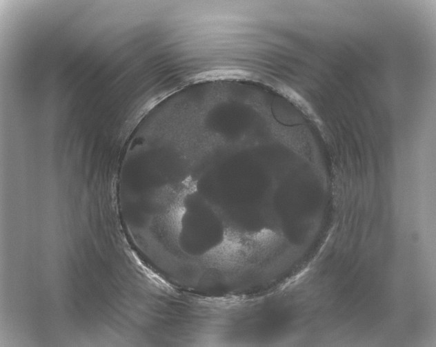 X0000066120937200603131324