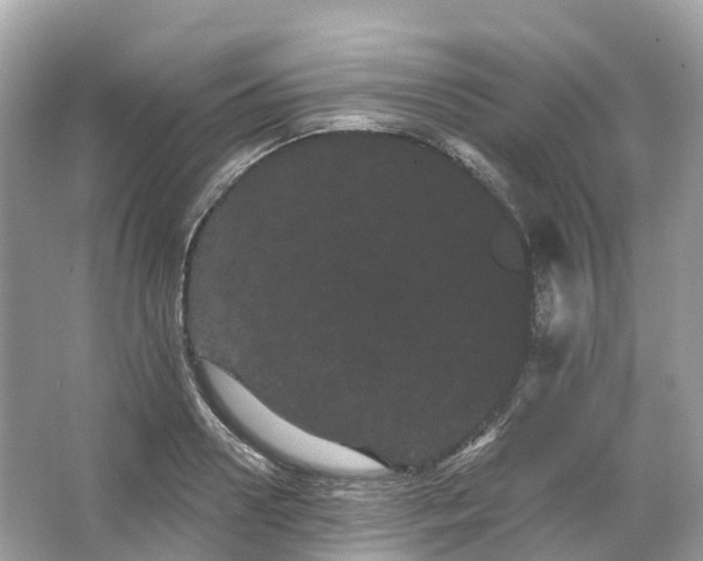 X0000066120938200603131324