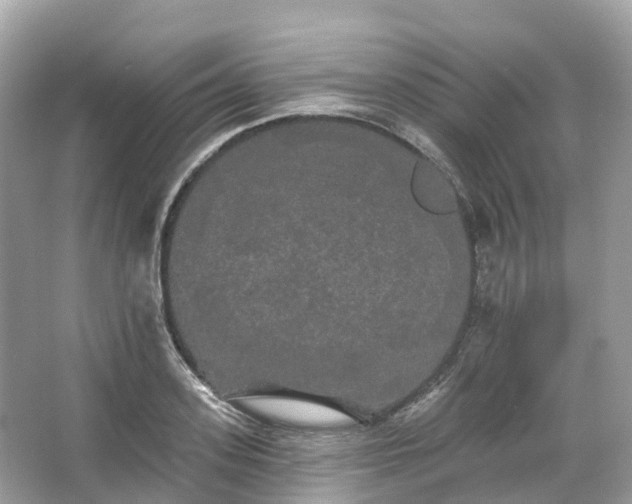 X0000066120939200603131324