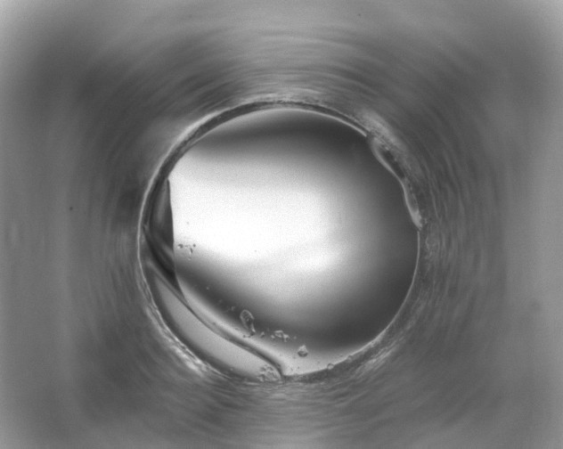 X0000066120940200603131324