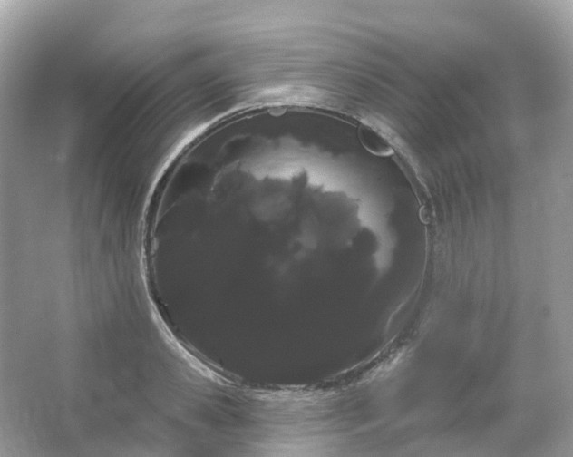 X0000066120941200603131324