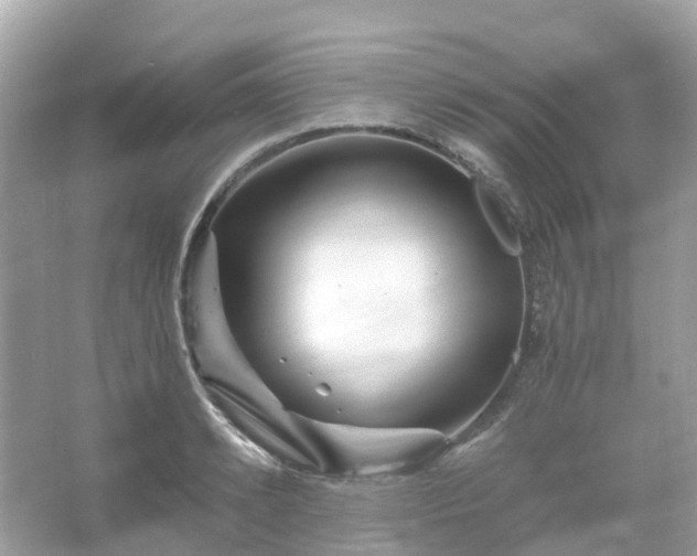 X0000066120942200603131324