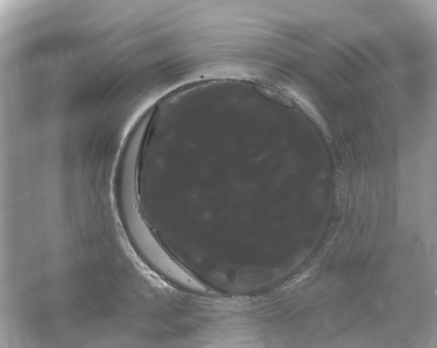 X0000066120944200603131324