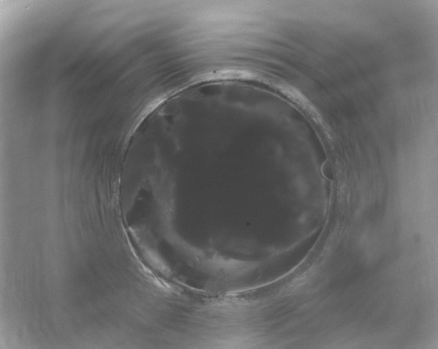 X0000066120945200603131324