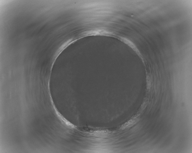 X0000066120946200603131324