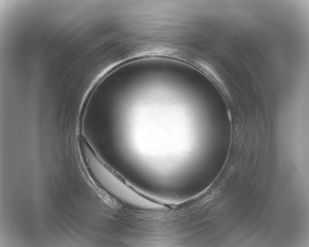 X0000066120948200603131324