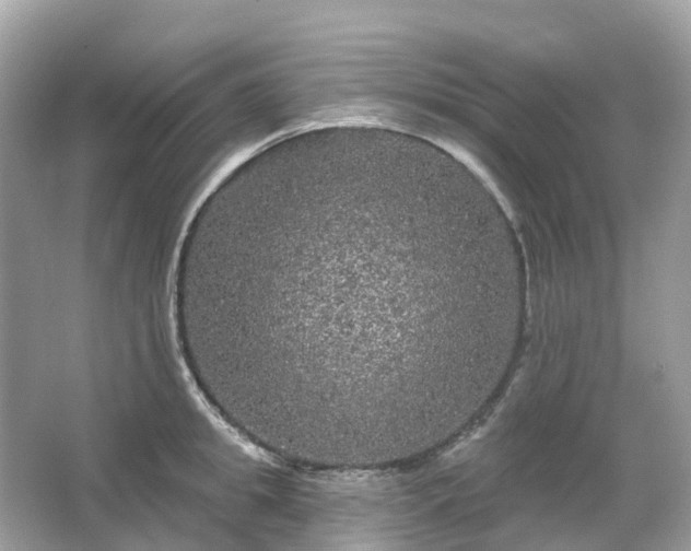 X0000066120949200603131325